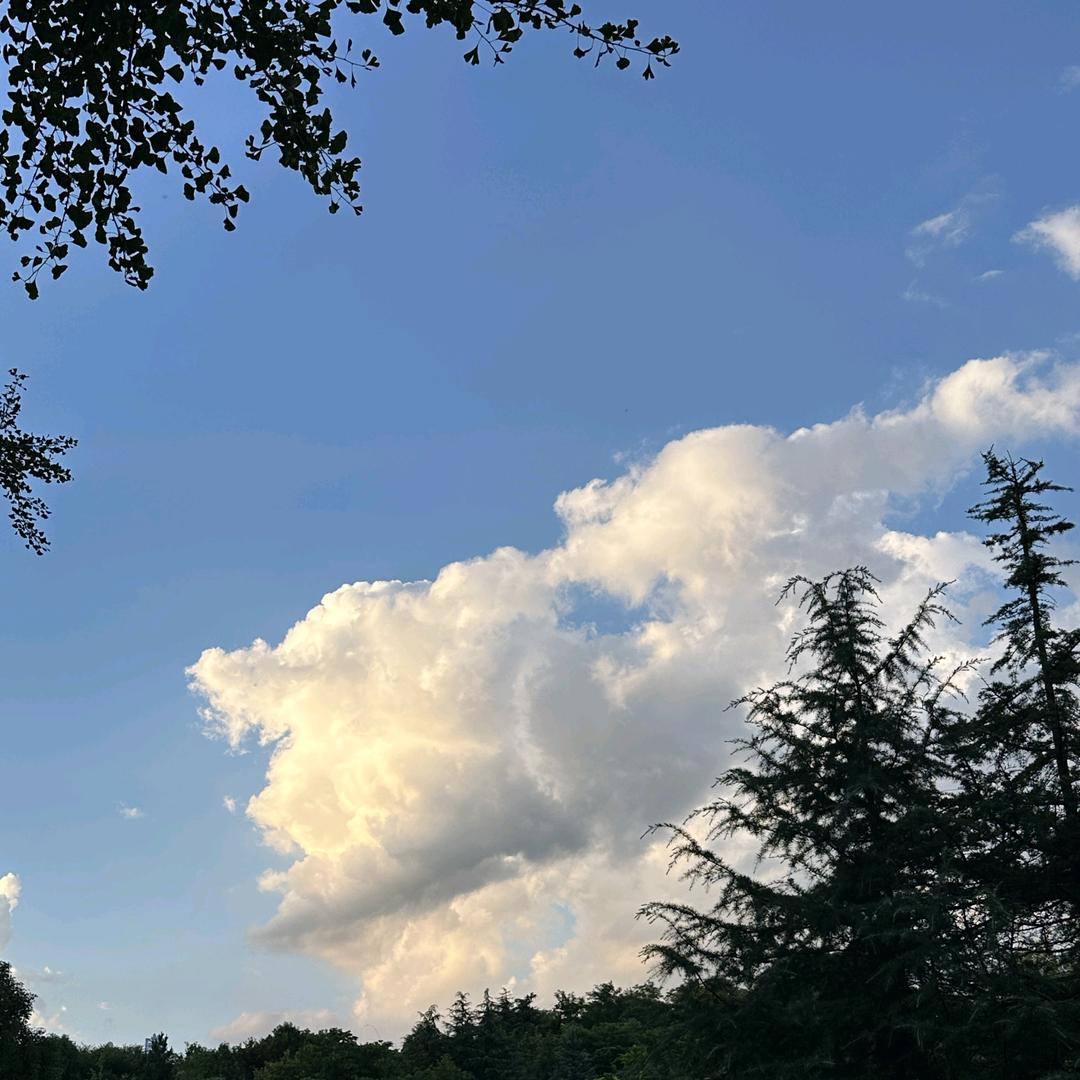 形容词不能形容你