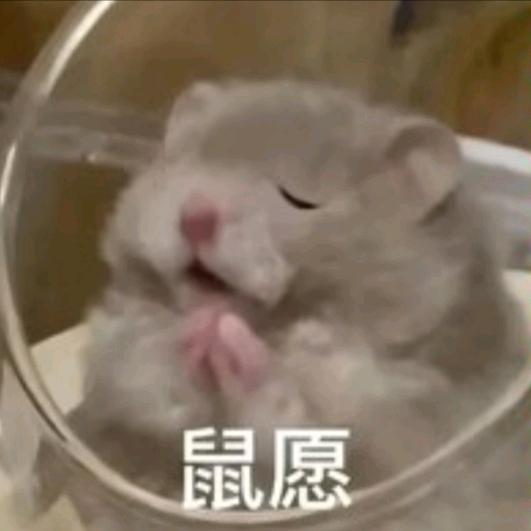木水