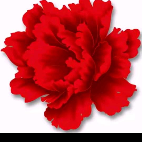 🌹平安是福🌹