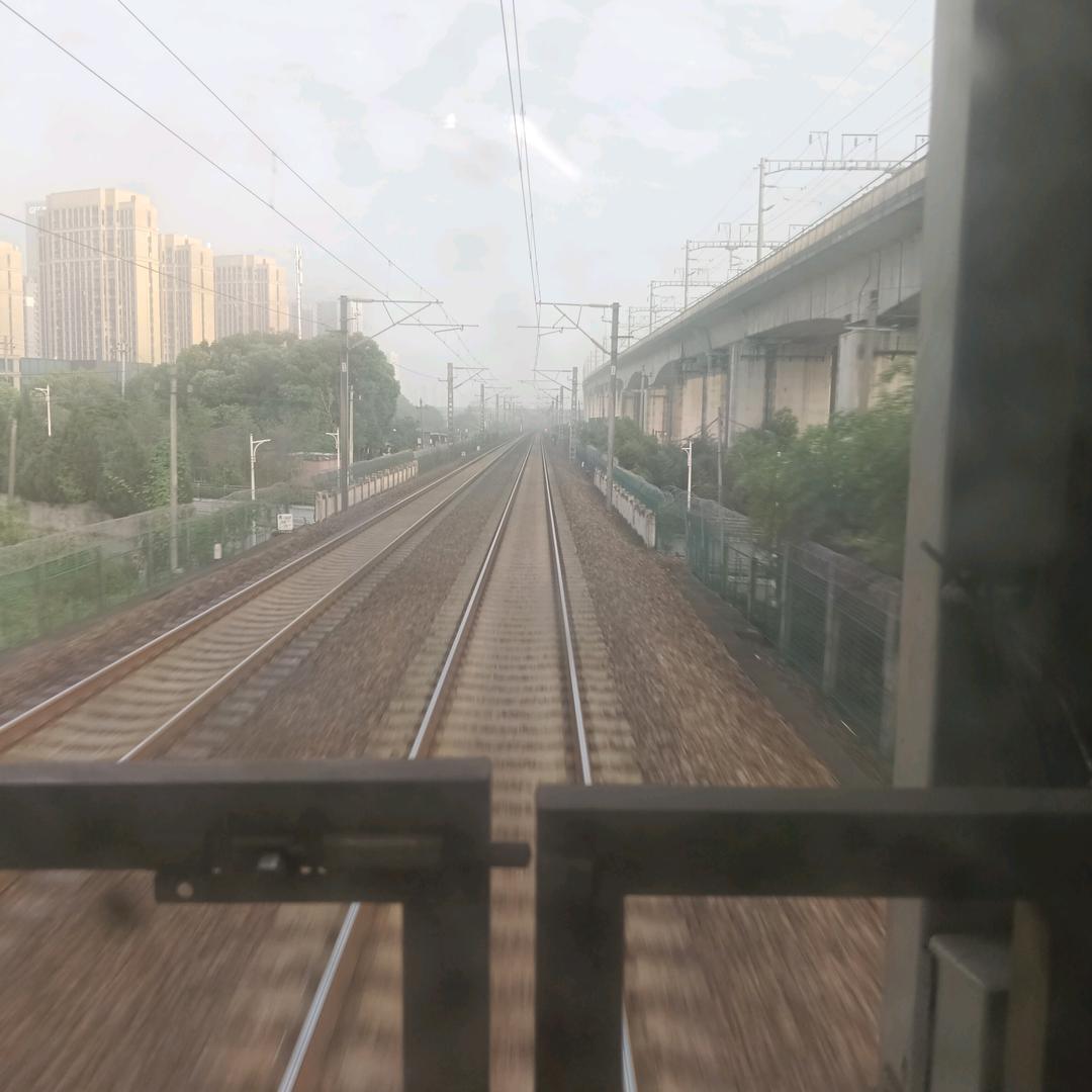 木森兄弟