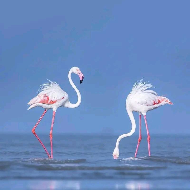 得益鲜活牛奶阳光舜城店