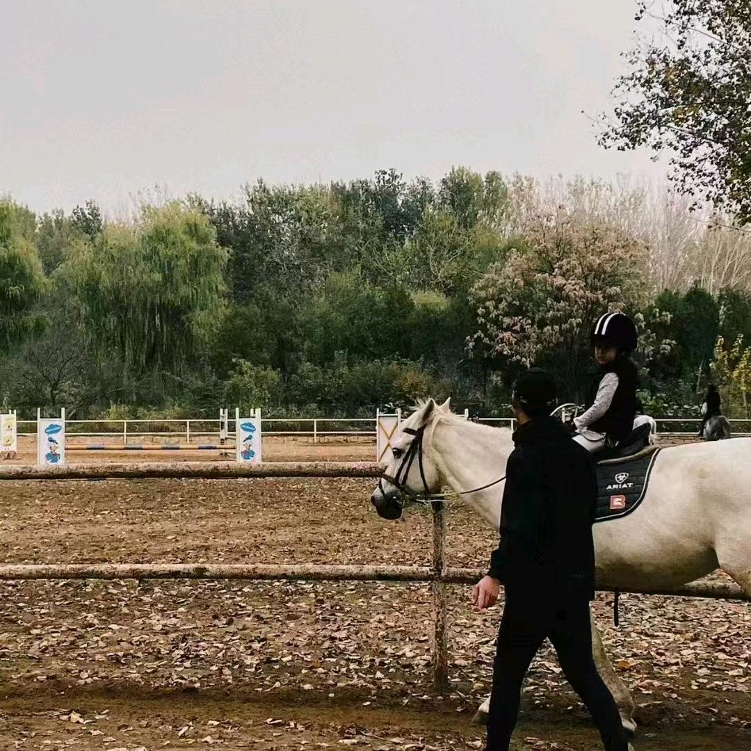 南风怎知我相思