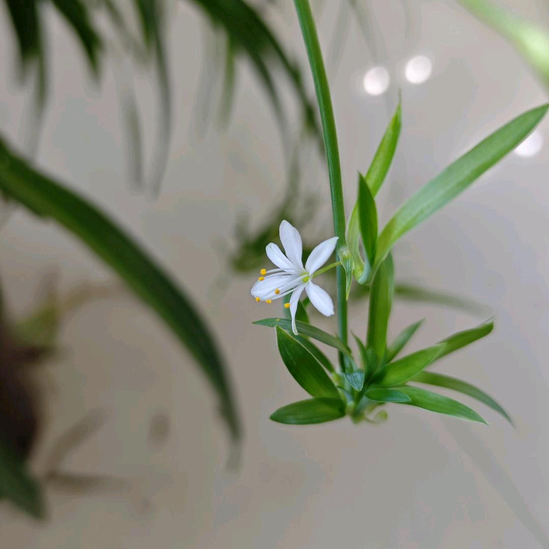 星辰大海