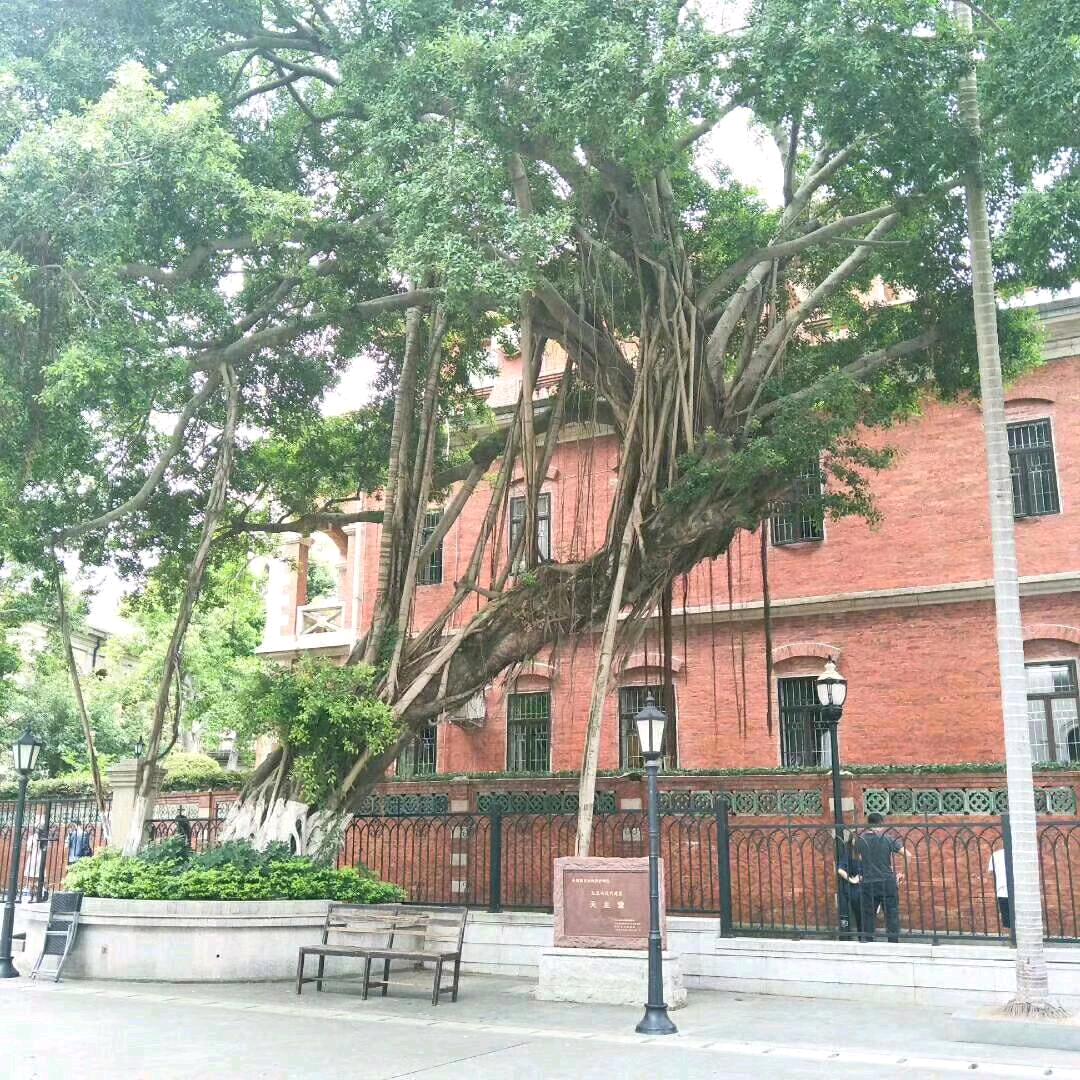 小小