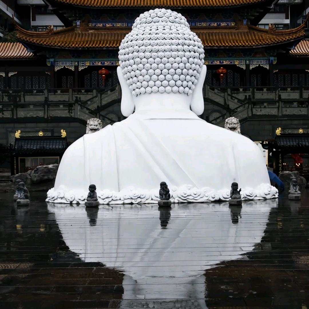 情仁