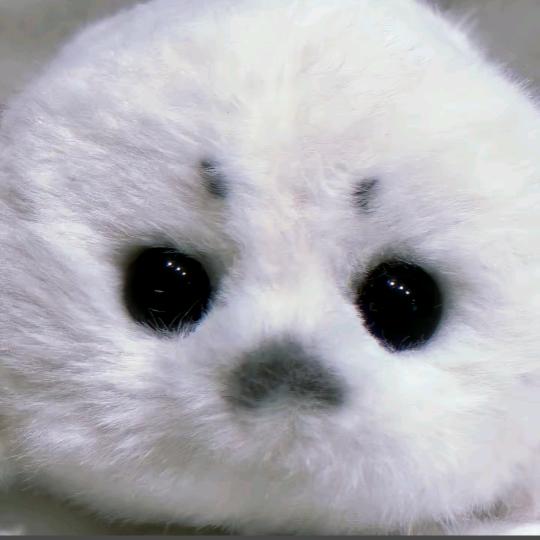 沫沫耐次小蛋糕