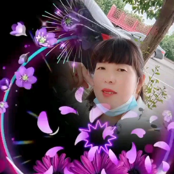 蝴蝶梦