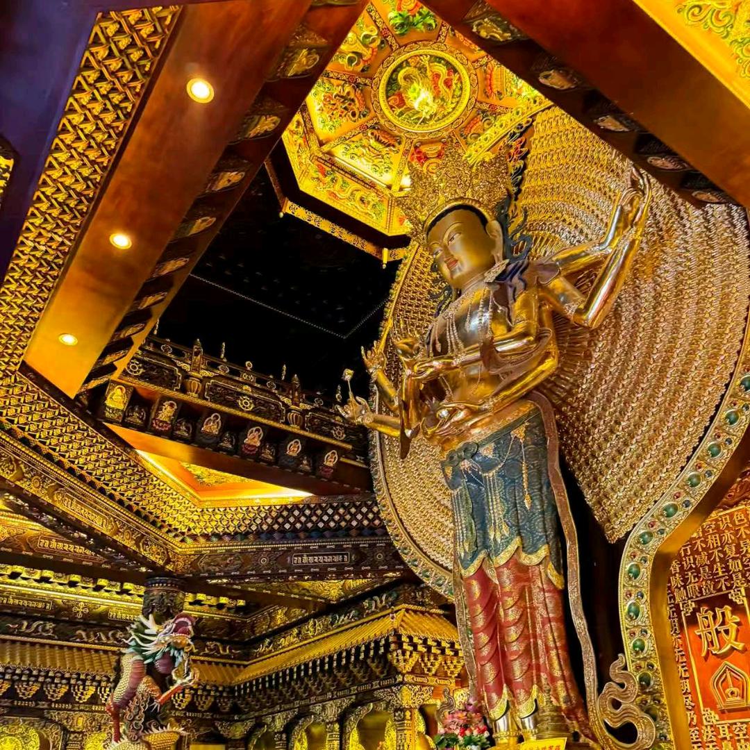 山西旅游团刘姐