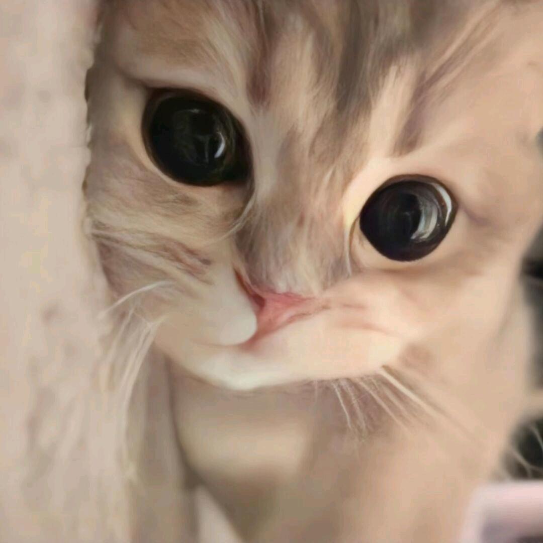 我上网是为了给社会添乱