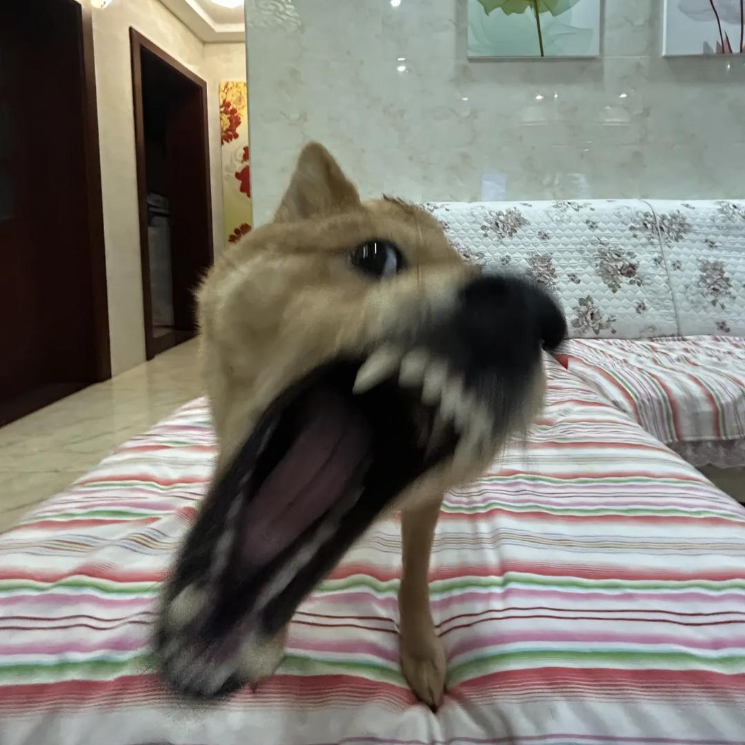 厚肌薄发