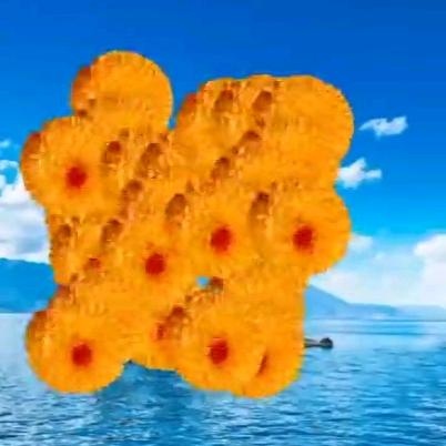 开心