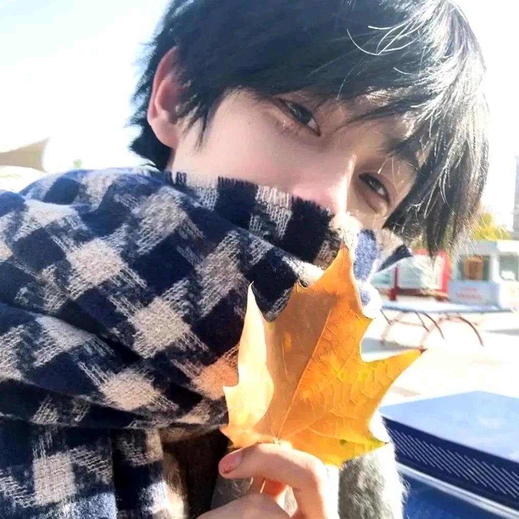 🦊