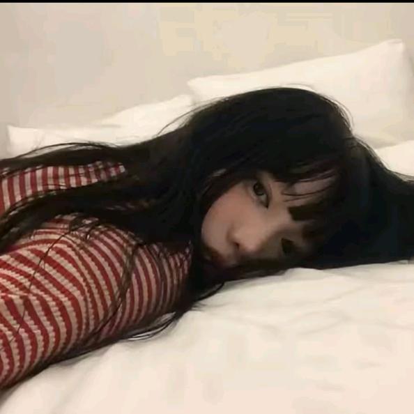 呆呆魚