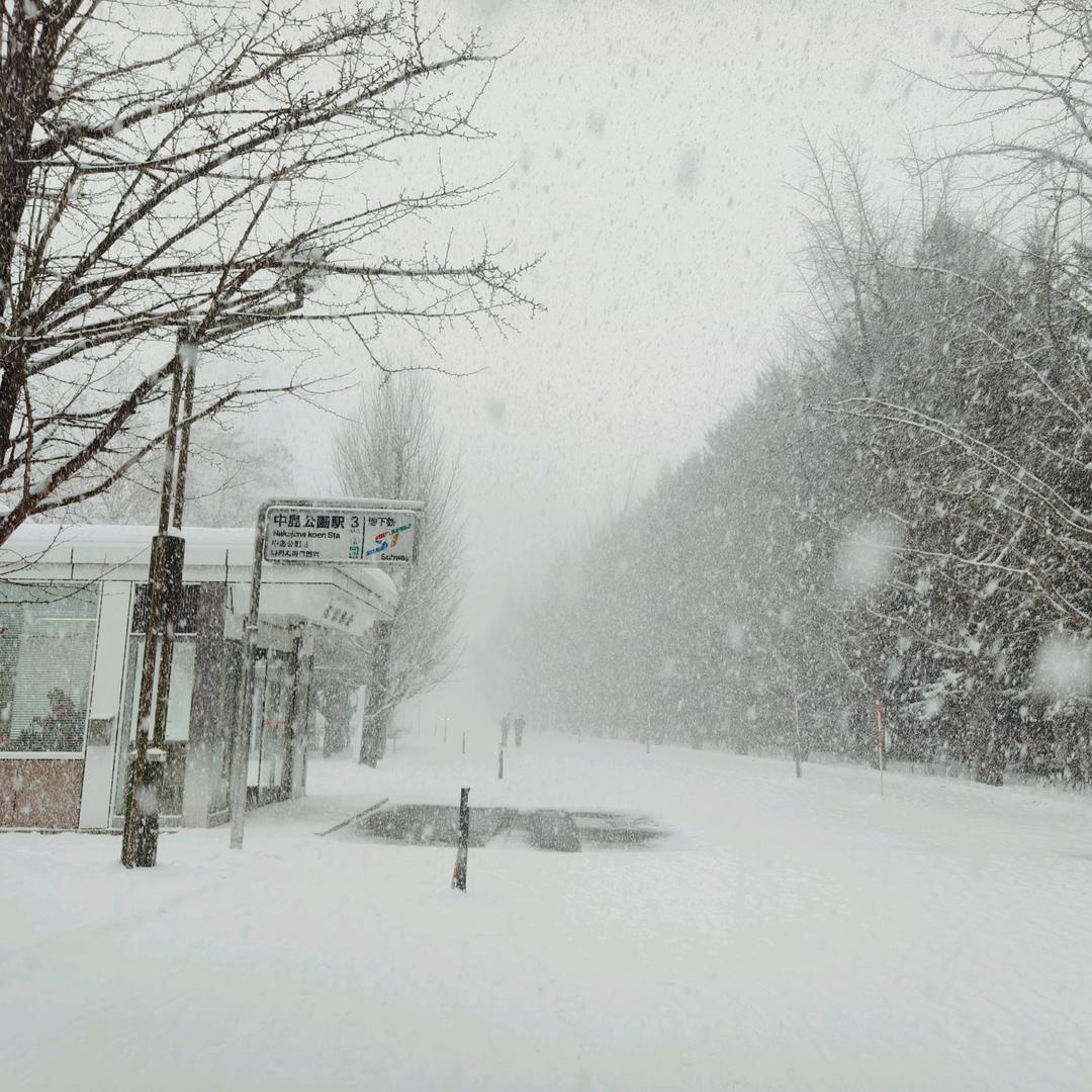 卷卷不卷🍭🍬