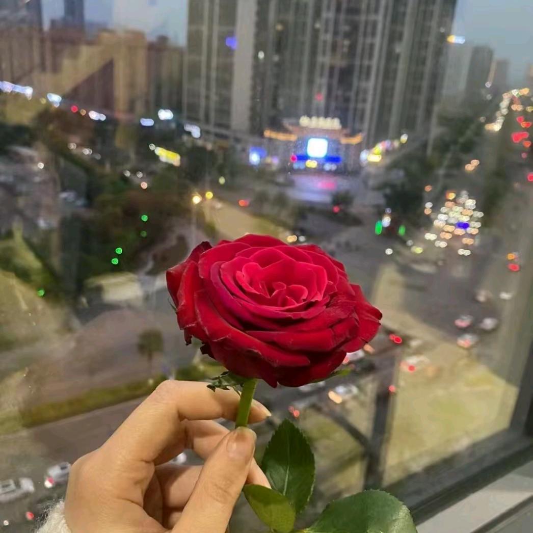 徐金霞控告吴阜颖带人入户抢劫绑架关压下药