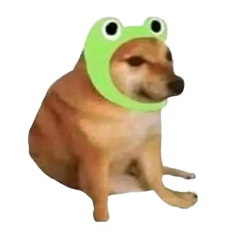 文
