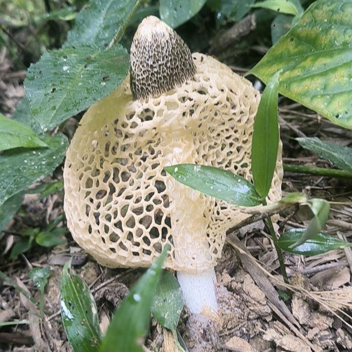 缘分