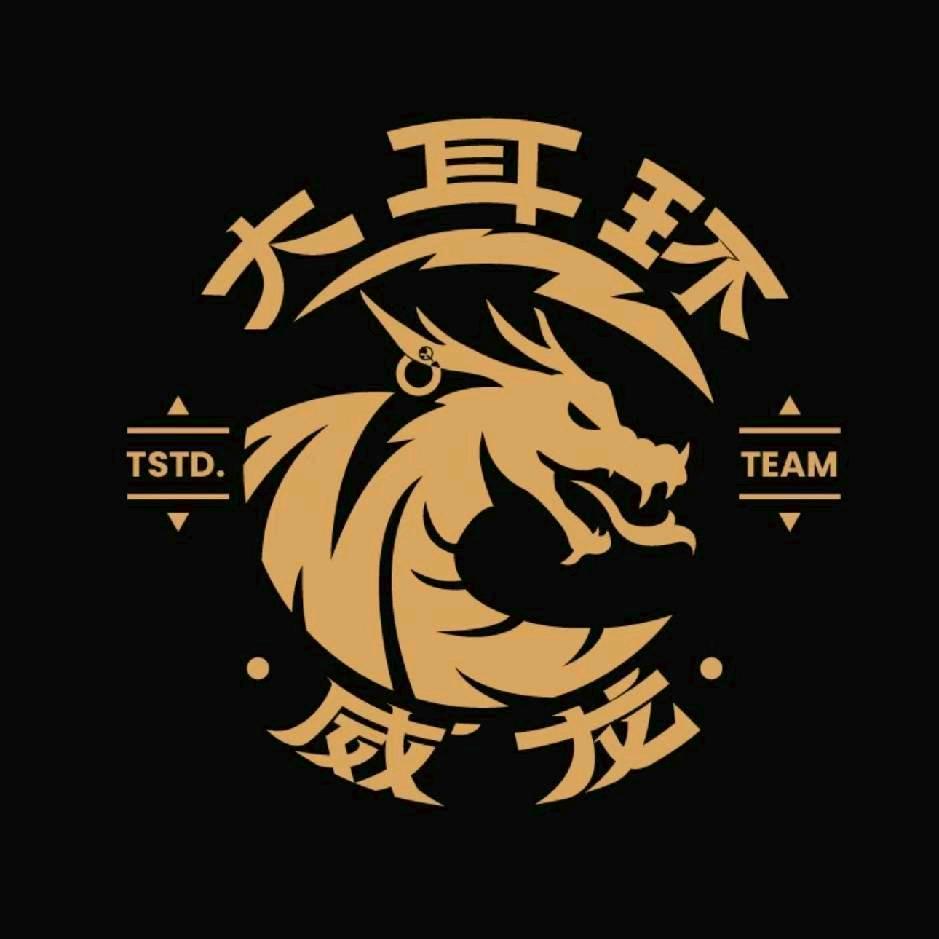 山东威龙🐉🐉🐉