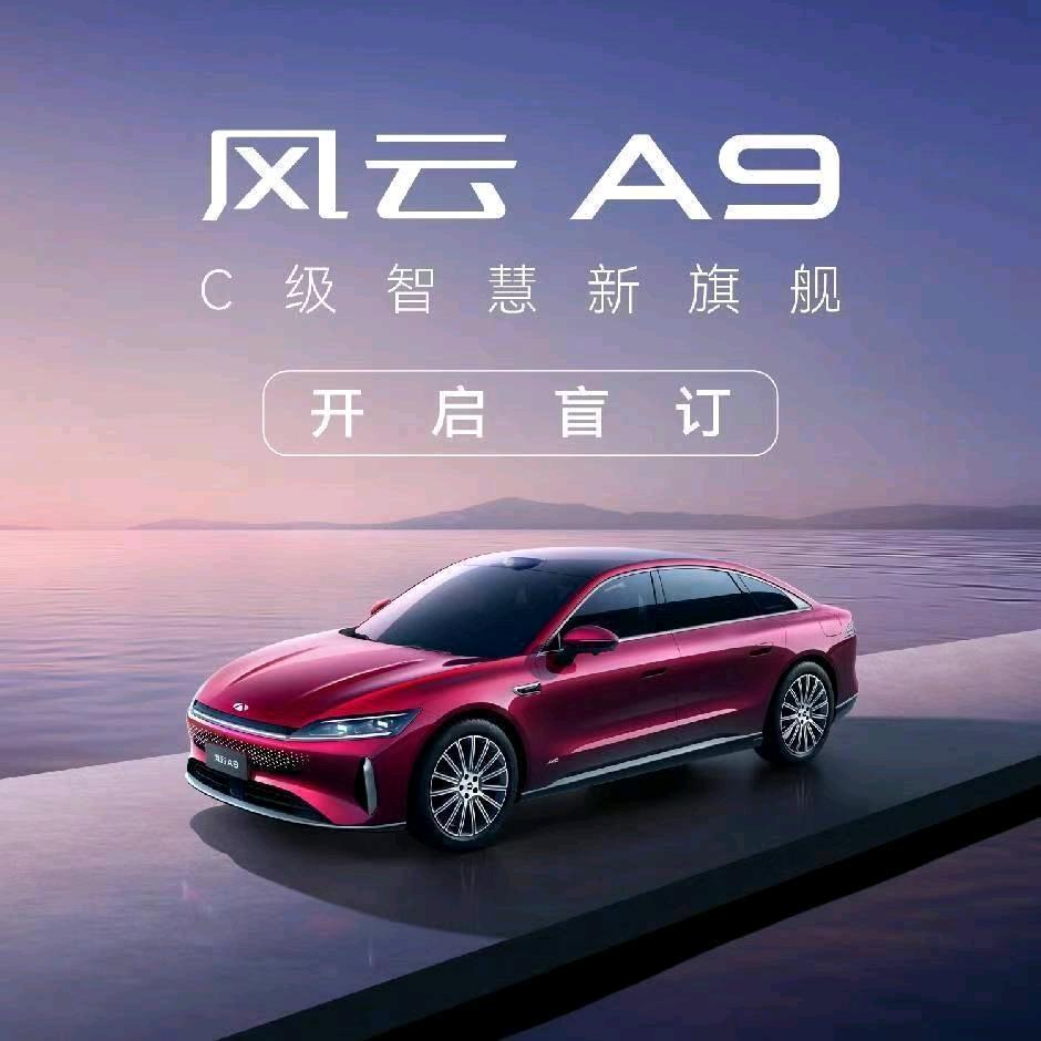 长春天睿奇瑞风云新能源-小尹