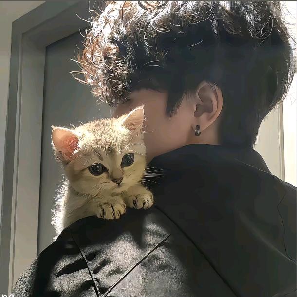 汤姆