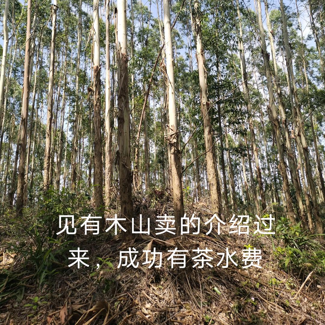 相识有缘