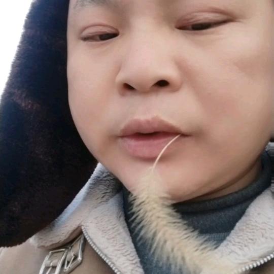 老唐的炒股日记