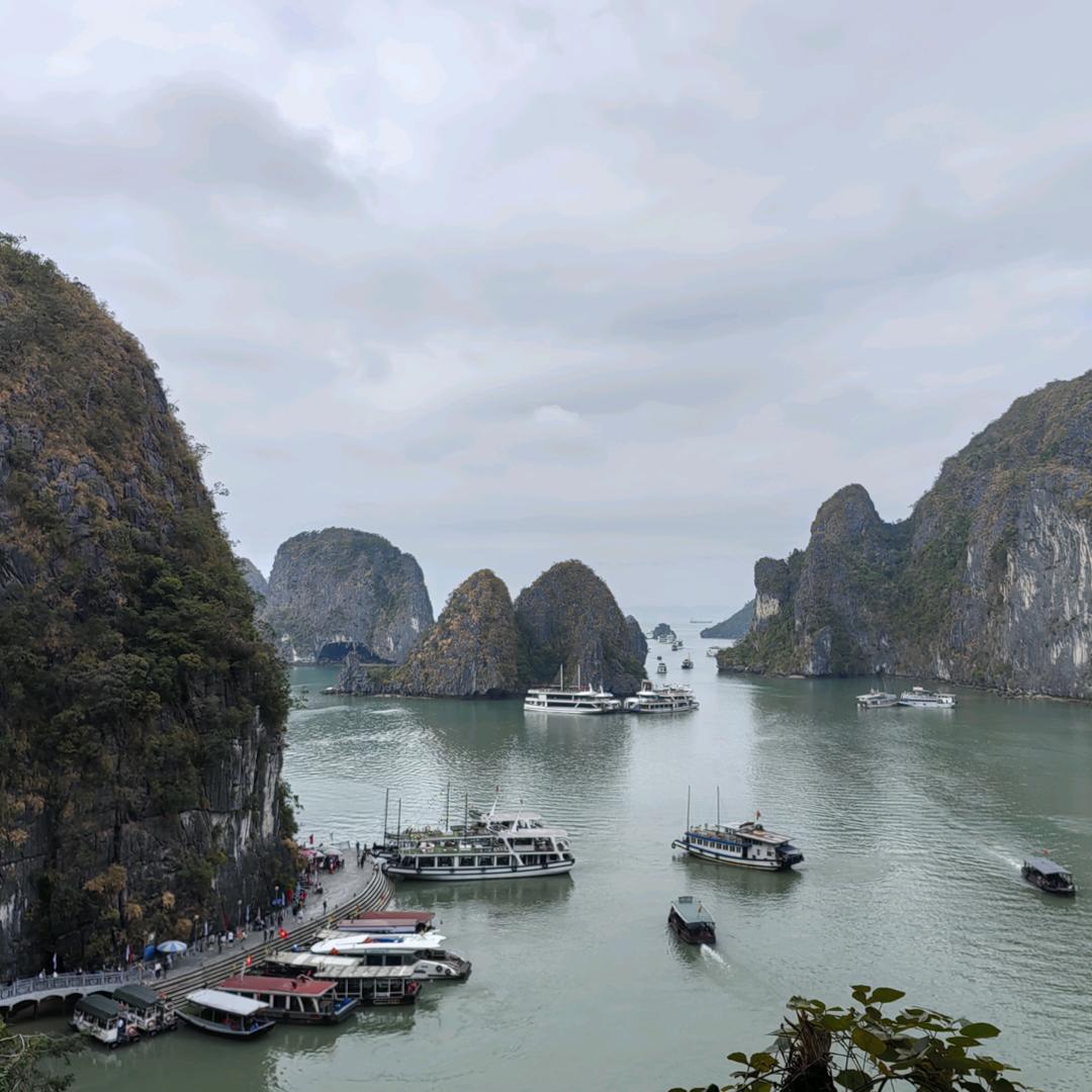 龟不不