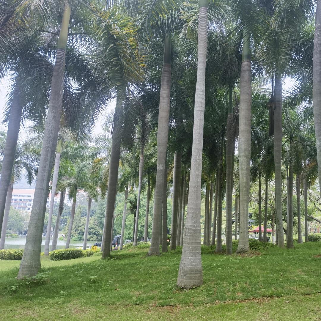 学坝之仁
