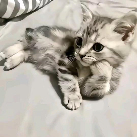 无越山（无畏契约）