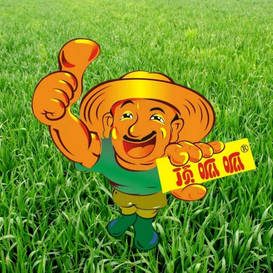 清病顶呱呱