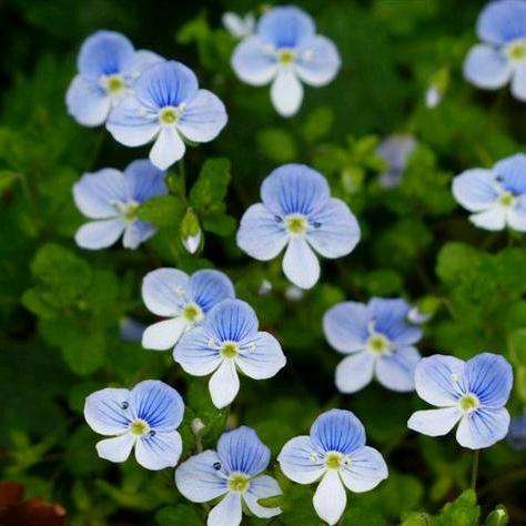 🐇梦琪☆雪然☆♡