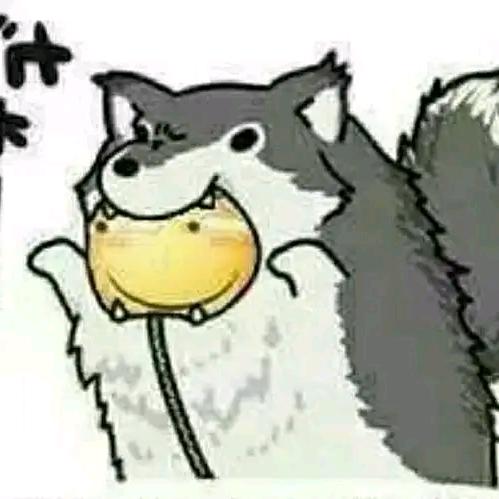 爱吃小熊饼干的钱二宝