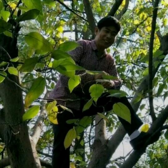 人生何必不相逢