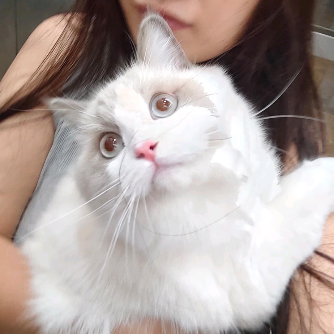 癫