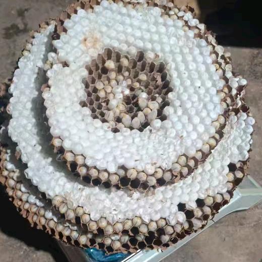 回忆再美好也是曾经