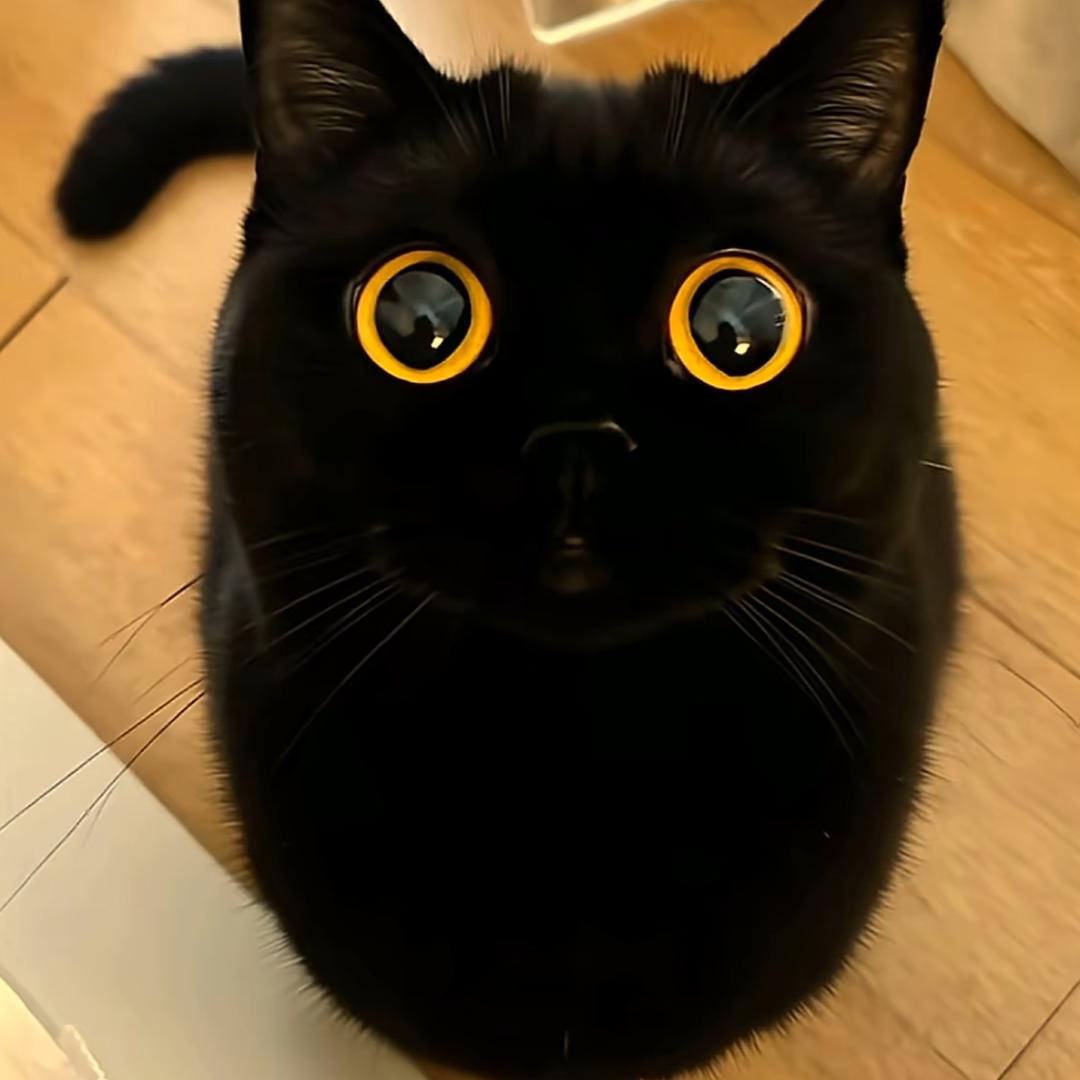 ℒᎭℯ⃝铁锤妹妹࿐