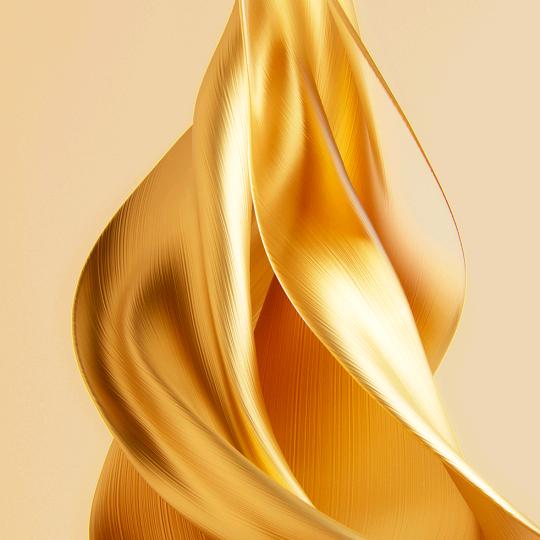 海龙
