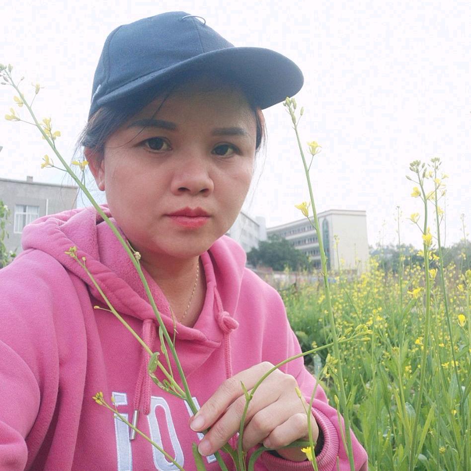 叶千秋纯手工槐花粉（招学员）