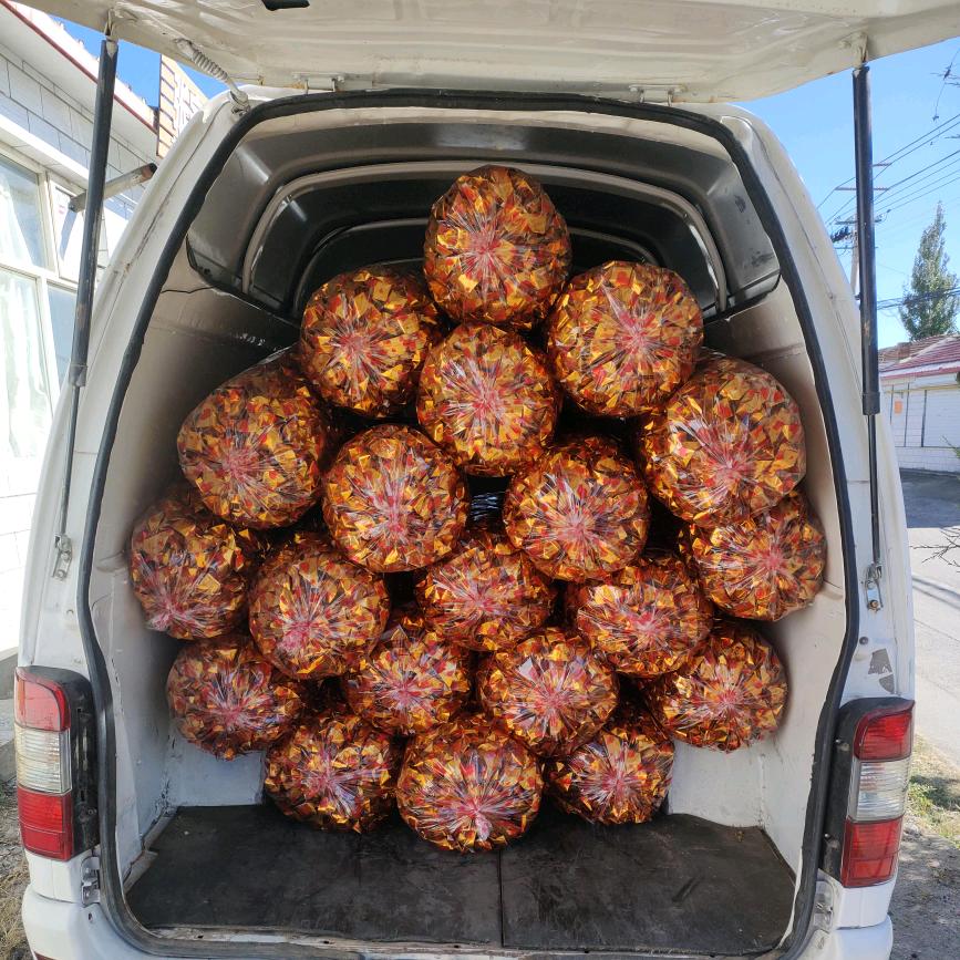 海龙元宝批发零售