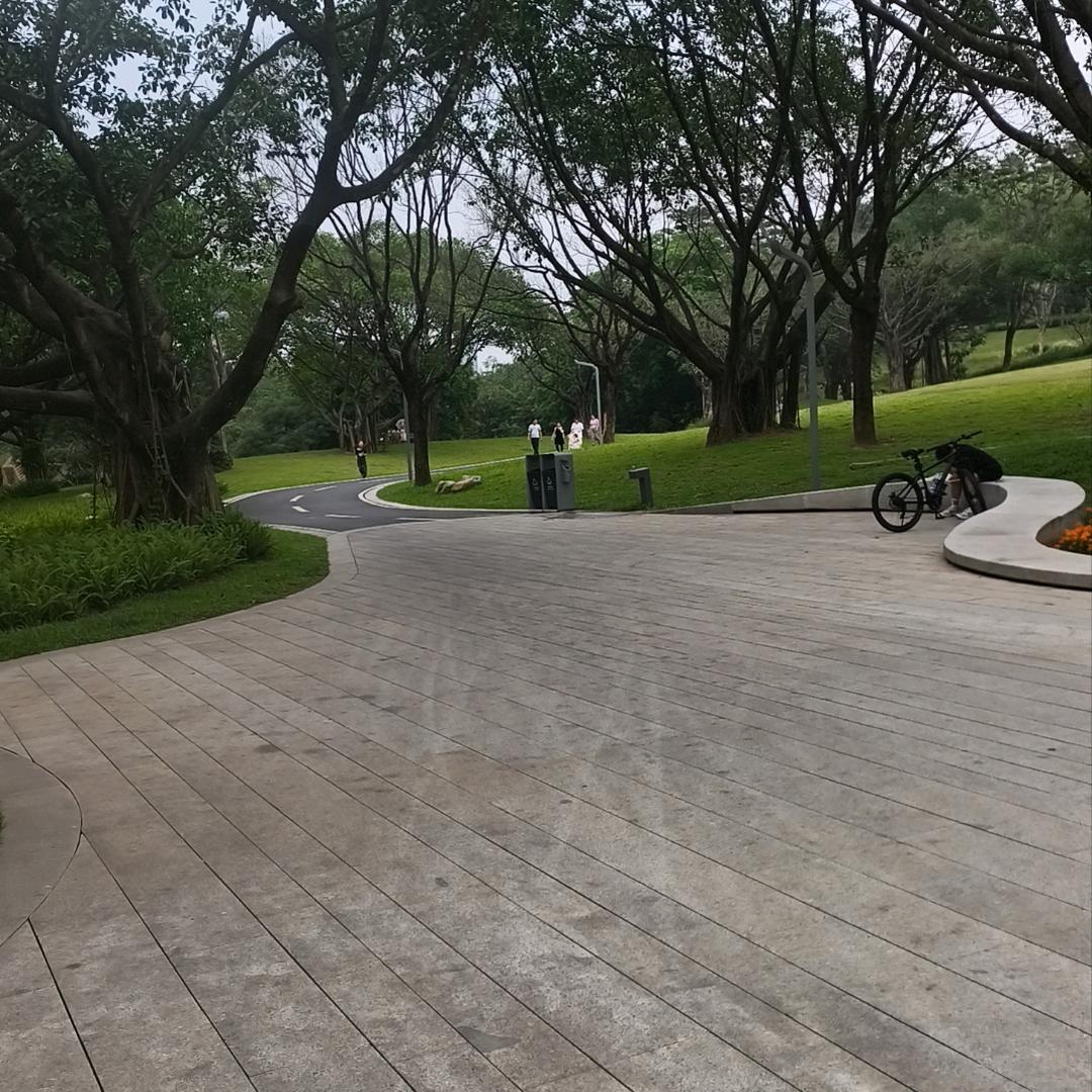寻找自我