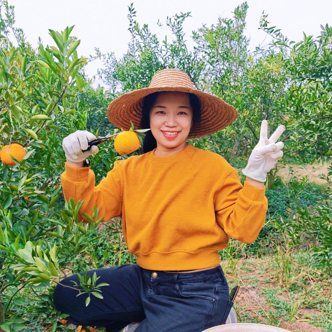 新会柑金皮-大菜-新会陈皮