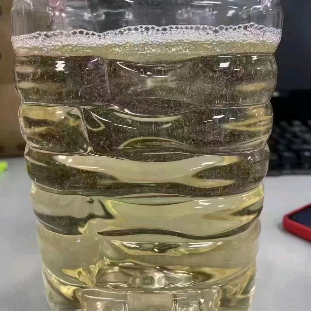 傻子界的天花板