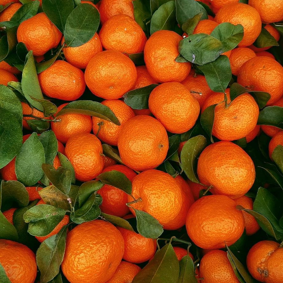 沙子净水哥@水果代办@花生批发