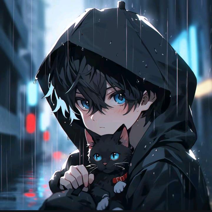黑猫