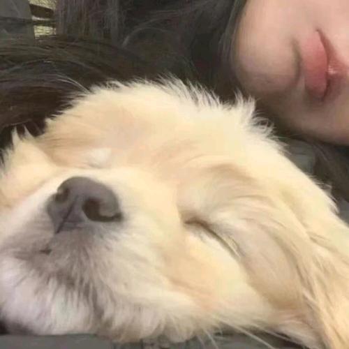 灵蓉（使命召唤：战区）