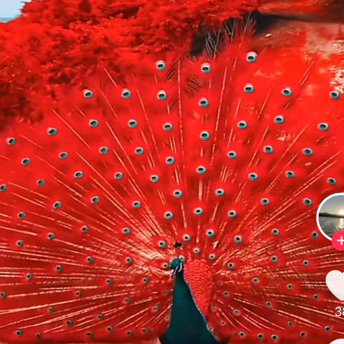 封心锁爱