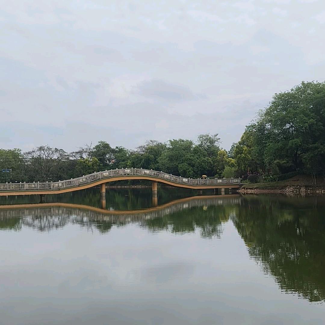 东莞深圳往返广西私家车