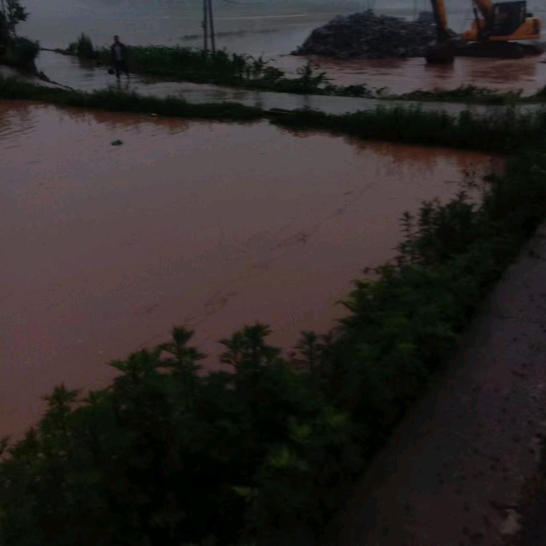 biu丶提桶跑路