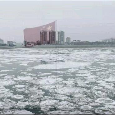 魏你而来