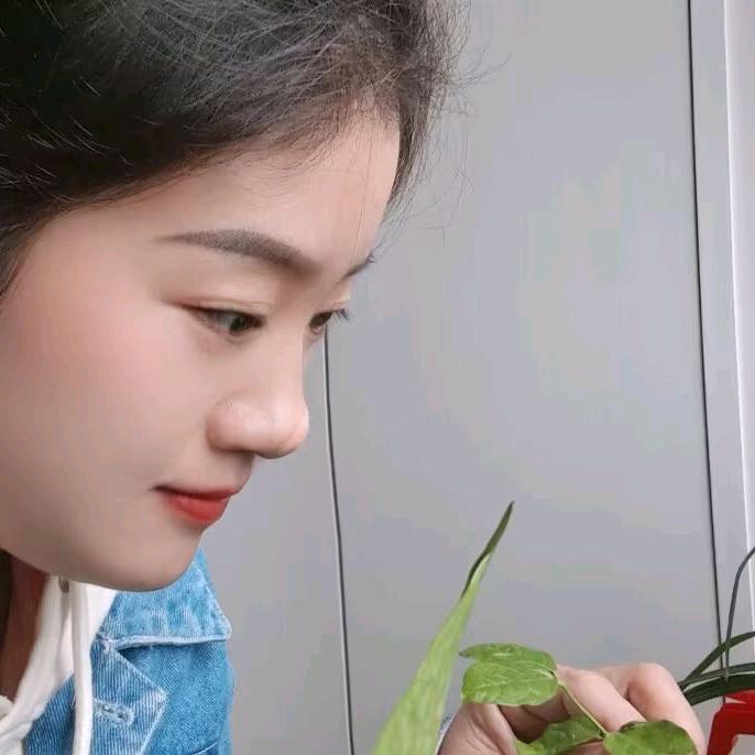 莹莹吖
